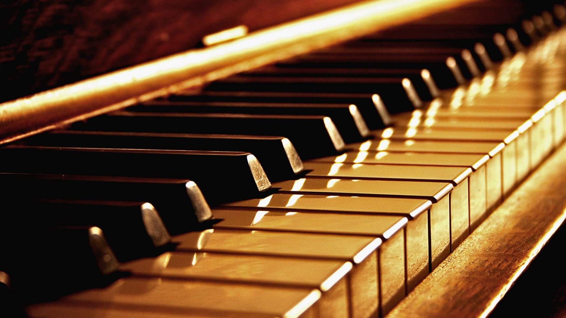 Deborah Levy – Pianiste et compositrice brésilienne